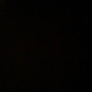 Meet your Posher, Lucy